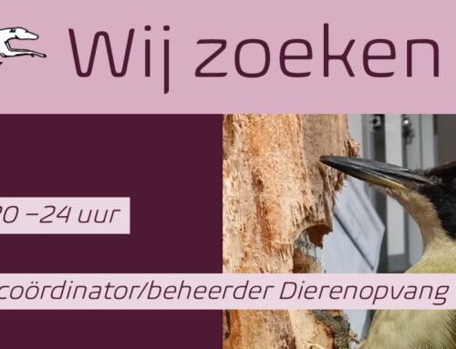 Vacature assistent beheerder/coördinator Dierenopvang Nijmegen
