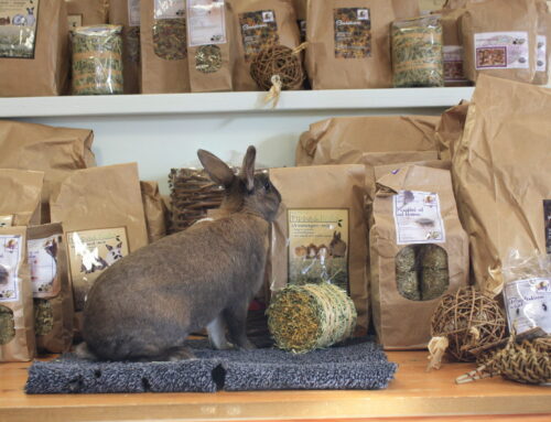 Update kerstactie konijnenkerstpakketten