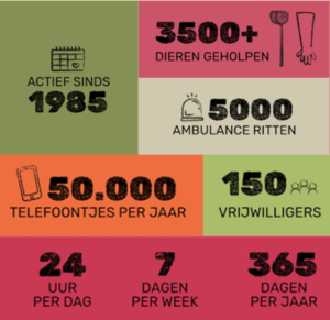 Kerncijfers vierkant